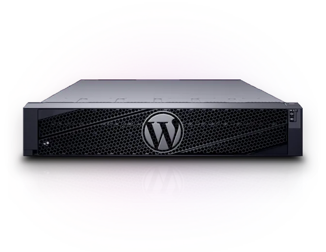 Hosting Server mit WordPress Logo